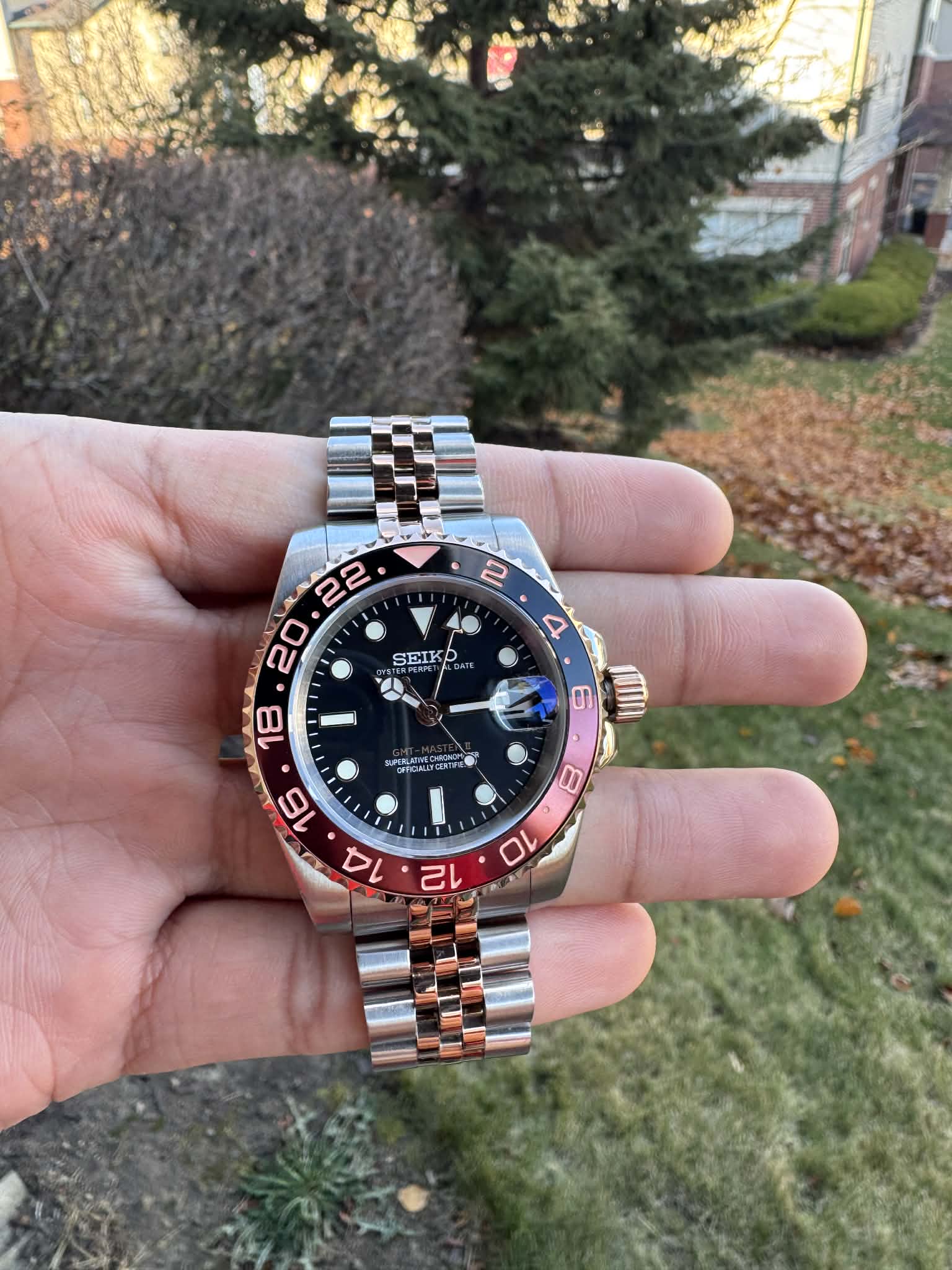 Seiko Mod GMT Rootbeer